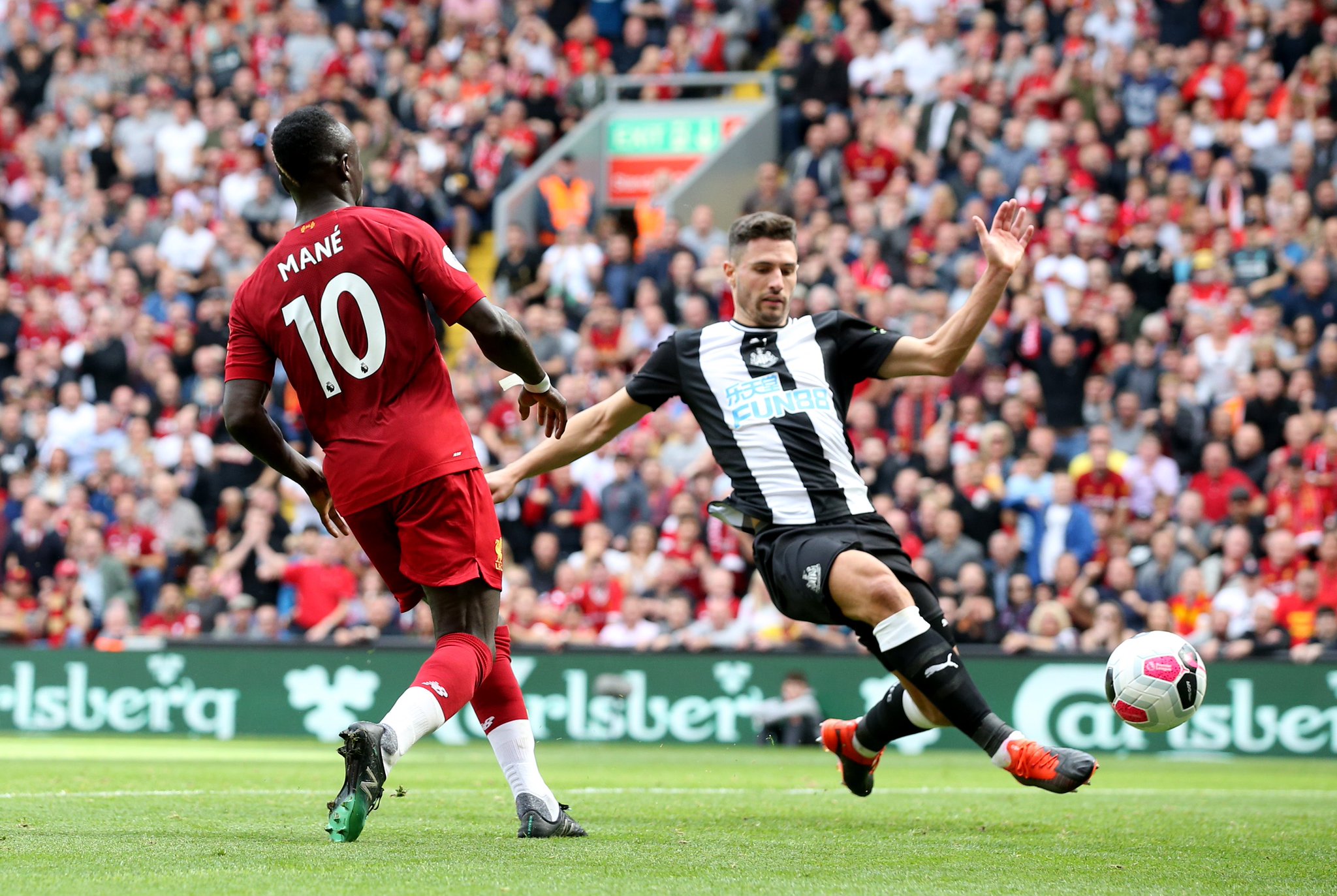 待看到哈斯 待看到哈斯