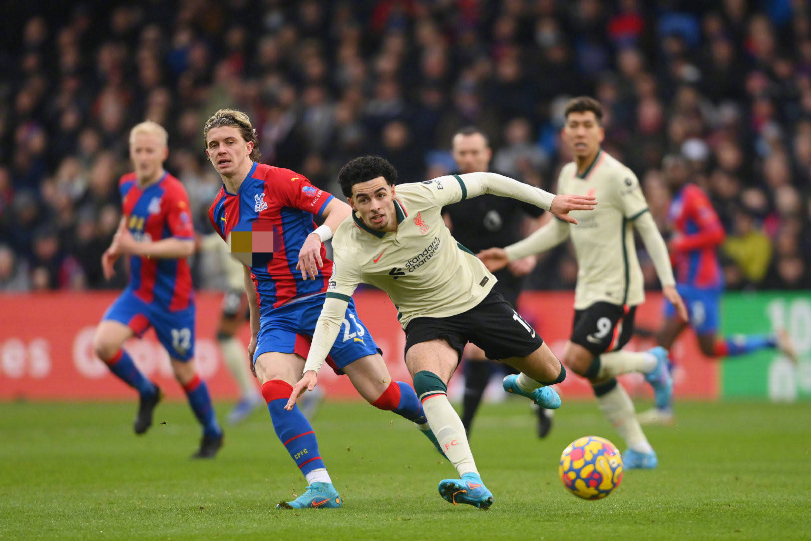 在加盟将成 在加盟将成